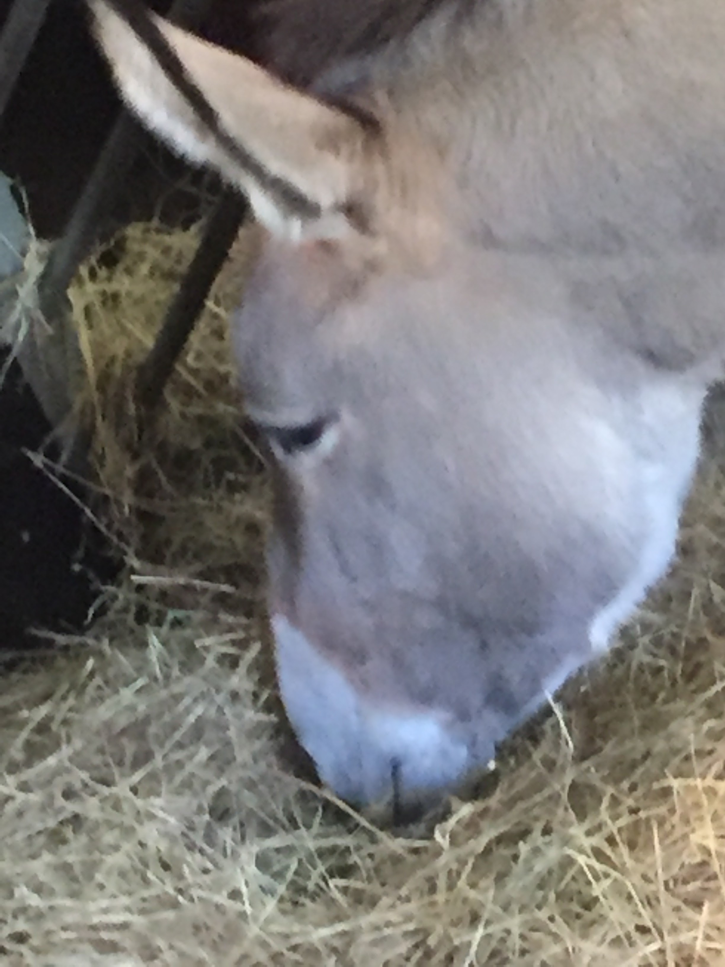Photo n° 11 de l'avis de lou.o fait le 21/04/2018 à 14:21