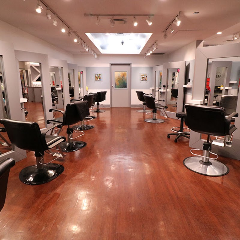 XEX Salon