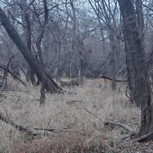 Lawrence River Trails , Lawrence, Kansas Zaubee