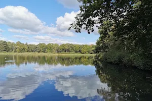 Stover Country Park image