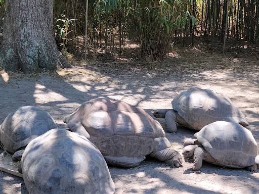 Zoo «Cape May County Park & Zoo», reviews and photos, 707 U.S. 9, Cape May Court House, NJ 08210, USA