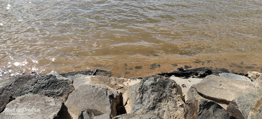 Park «Flying Point Park», reviews and photos, 511 Kennard Ave, Edgewood, MD 21040, USA