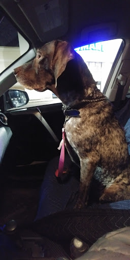 Pet Supply Store «PetSmart», reviews and photos, 14 Crossing Way #2, Augusta, ME 04330, USA