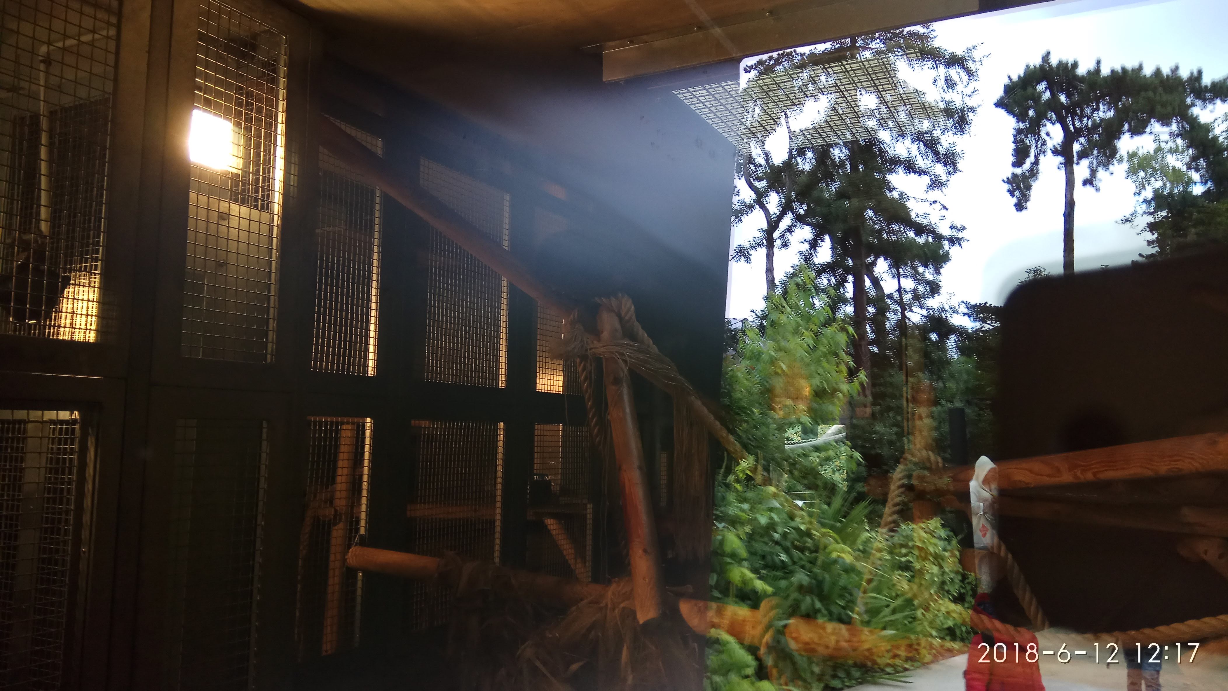 Photo n° 45 de l'avis de Swiss.e fait le 15/06/2018 à 19:24