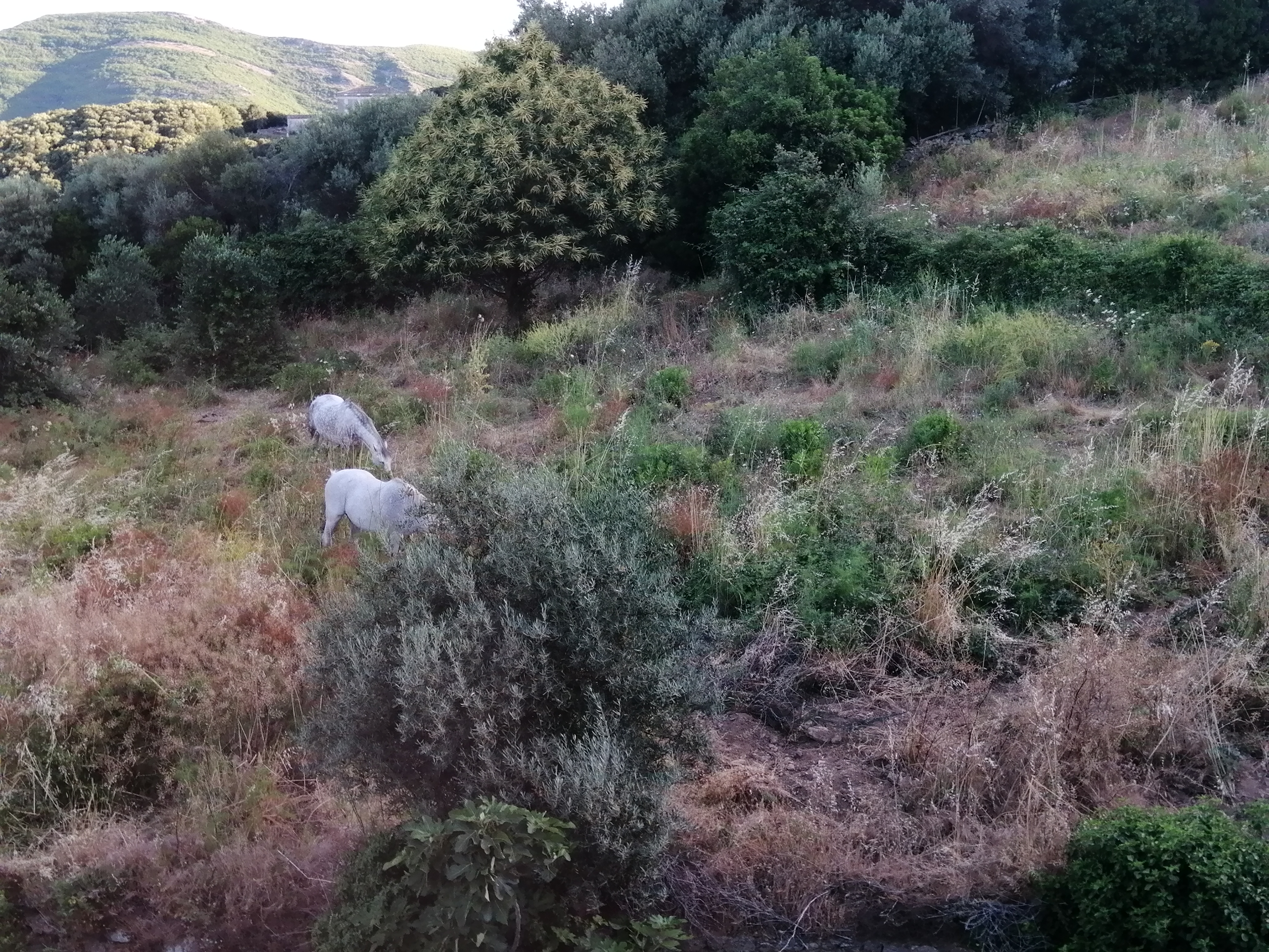 Photo n° 14 de l'avis de benoit.a fait le 16/06/2022 à 07:19