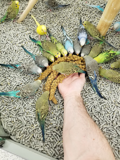 Pet Supply Store «Petco Animal Supplies», reviews and photos, 1203 SE Everett Mall Way f, Everett, WA 98208, USA