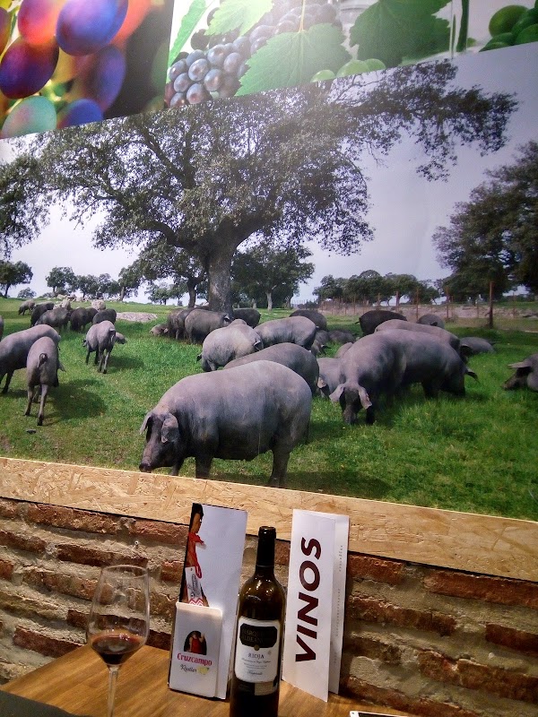 Imagen de La Jamoneria Al Descorche (11 de 11)