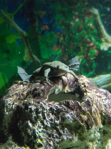 Pet Store «Pet Zone», reviews and photos, 1620 Marion-Mt Gilead Rd, Marion, OH 43302, USA