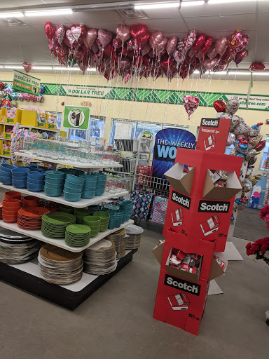 Dollar Store «Dollar Tree», reviews and photos, 756 Lafayette Rd, Seabrook, NH 03874, USA