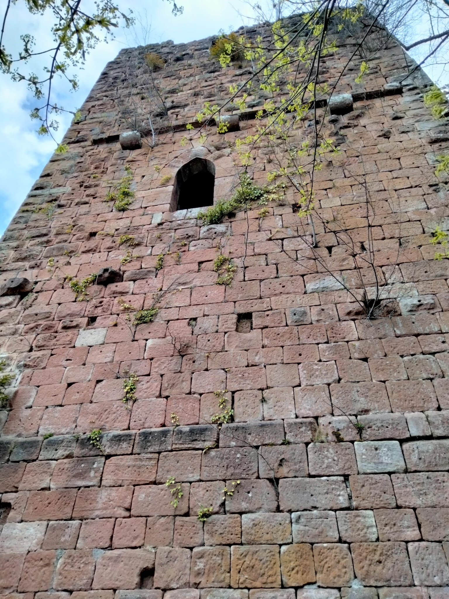 Photo n° 3 de l'avis de Bernard.o fait le 11/08/2023 à 16:52