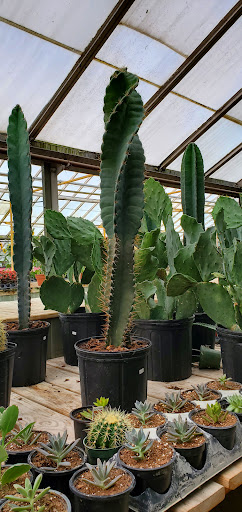 Florist «Anderson Florist and Greenhouse», reviews and photos, 1812 N Detroit St, Warsaw, IN 46580, USA