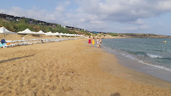 Erenkoy beach'in fotoğrafı - rahatlamayı sevenler arasında popüler bir yer