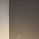 Photo n°9 de l'avis de Jose.r fait le 11/11/2023 à 21:24 sur le  Hotel Bienestar Termas de Vizela à Caldas de Vizela