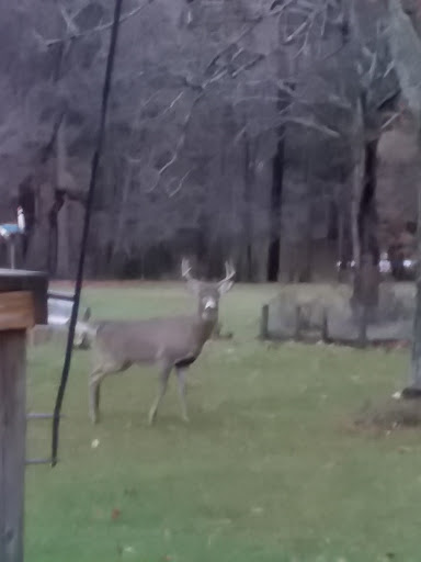 Private Golf Course «East Aurora Country Club», reviews and photos, 300 Girdle Rd, East Aurora, NY 14052, USA