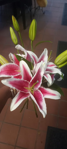 Florist «Thrifty Florist», reviews and photos, 211 S Telegraph Rd, Pontiac, MI 48341, USA