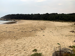 Zdjęcie Poole's Beach dziki obszar
