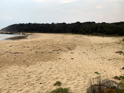 Φωτογραφία του Poole's Beach ubicado en área natural