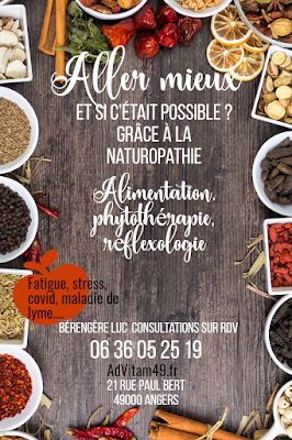 Bérengère LUC, Ad Vitam à Angers