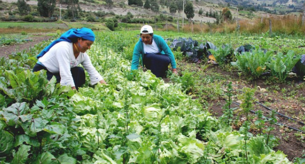 Opinii despre iglesia pantaño în Riobamba - Iglesia