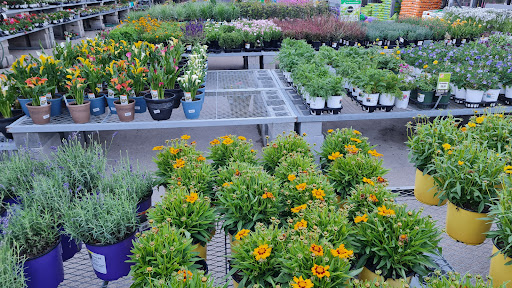 Home Improvement Store «The Home Depot», reviews and photos, 100 1st Ave, Waltham, MA 02451, USA