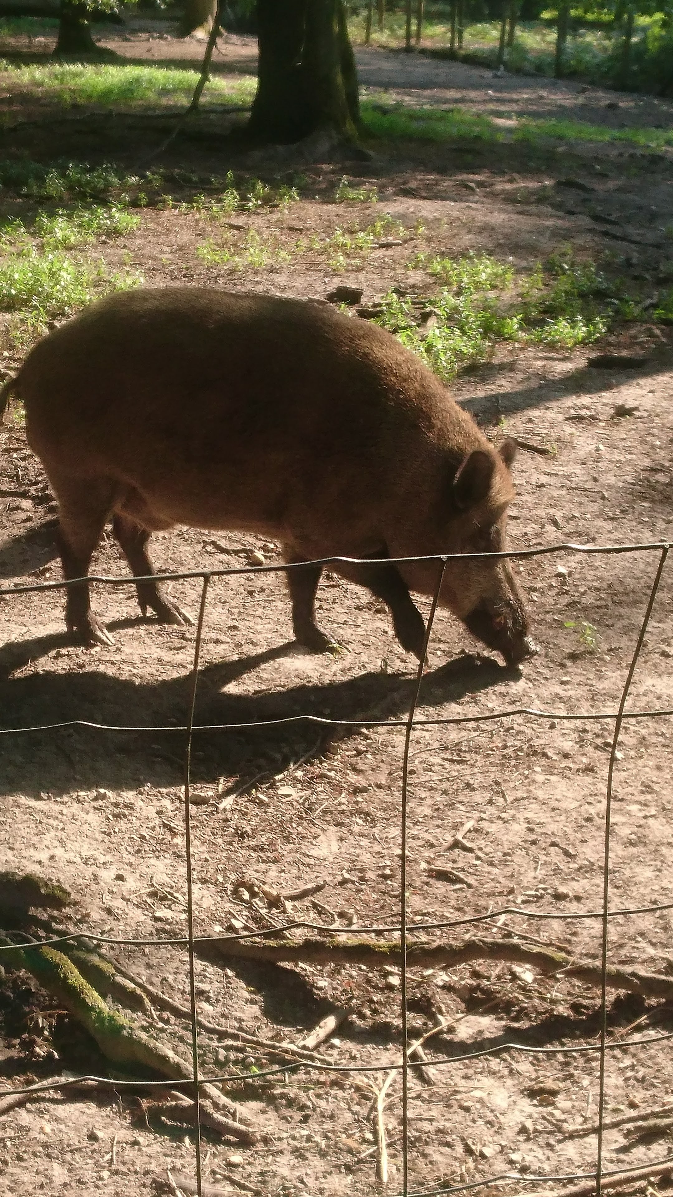 Photo n° 3 de l'avis de Nicolas.u fait le 26/07/2018 à 22:58