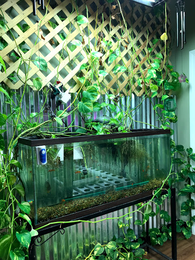 Vitamin & Supplements Store «Nutrition King & Oasis», reviews and photos, 764 Concord Rd SE, Smyrna, GA 30082, USA