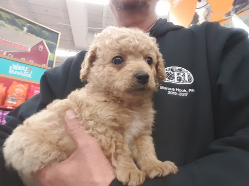 Pet Supply Store «Petco Animal Supplies», reviews and photos, 4491 Kirkwood Hwy, Wilmington, DE 19808, USA
