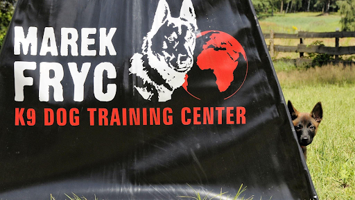 Marek Fryc K9 Dog Training Center