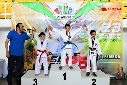 Karate La Sabiduría Del Guerrero Villaflores
