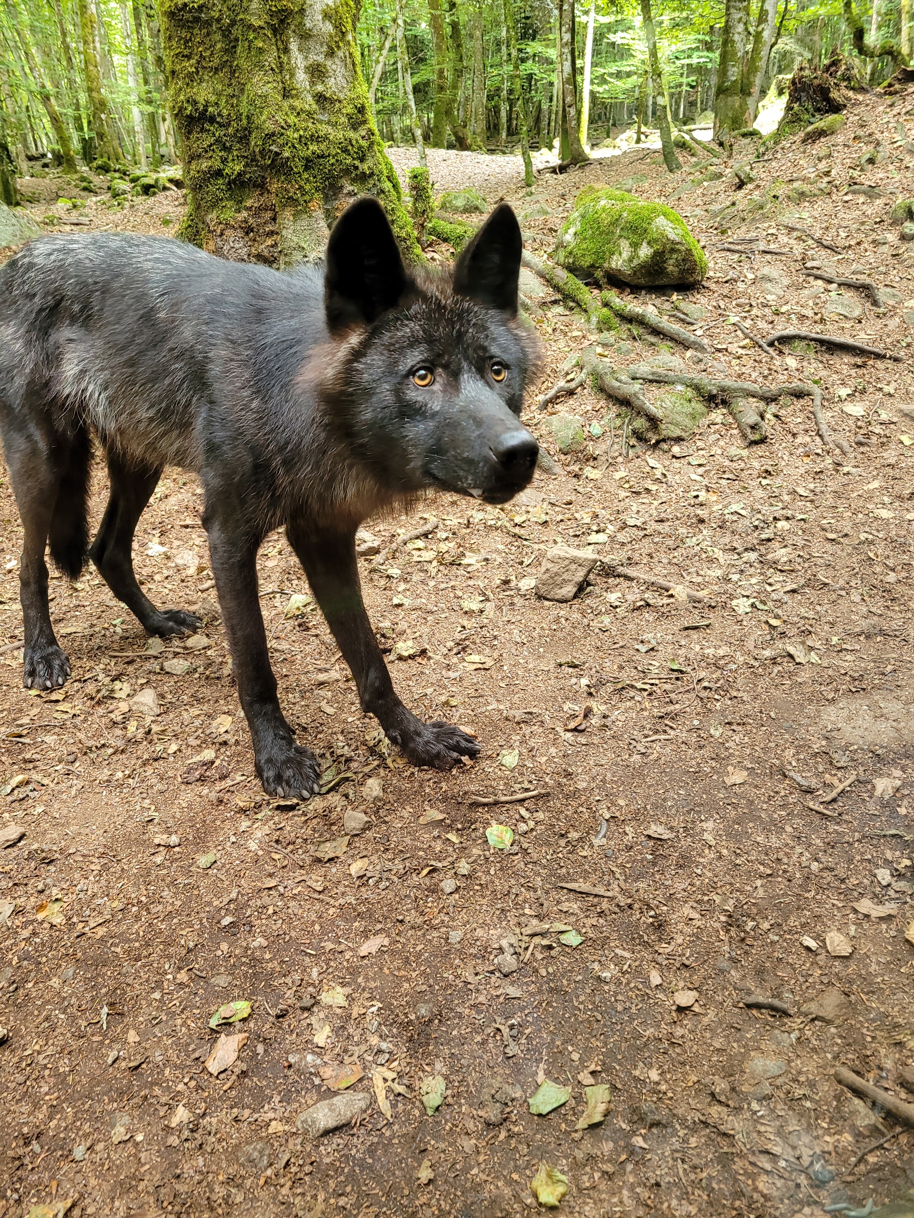 Photo n° 1 de l'avis de richard.u fait le 27/07/2023 à 12:07
