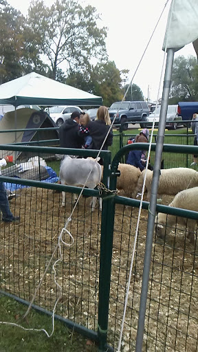 Discount Store «Dollar General», reviews and photos, 124 W Pike St, Houston, PA 15342, USA