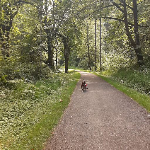 Tourist Attraction «Preston-Snoqualmie Trail Head parking», reviews and photos, Preston-Snoqualmie Trail, Fall City, WA 98024, USA