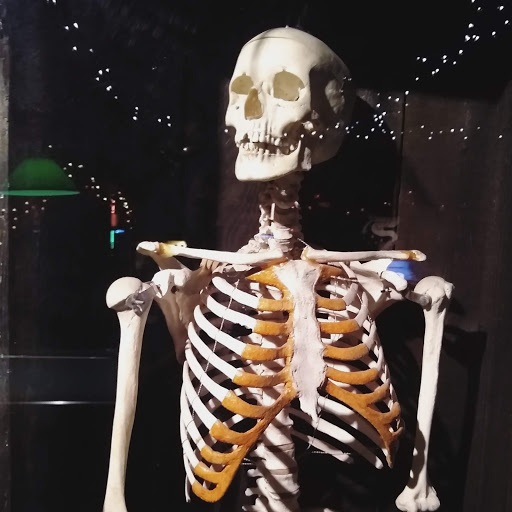 Bar «The Odditorium», reviews and photos, 1045 Haywood Rd, Asheville, NC 28806, USA