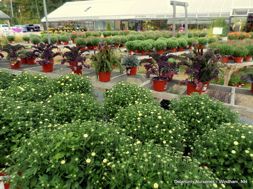 Garden Center «Delahunty Nurseries & Florist», reviews and photos, 41 Range Rd, Windham, NH 03087, USA