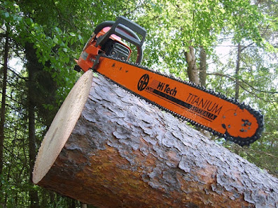 Joschis Gartenservice Am Tann 13, 75328 Schömberg, Deutschland