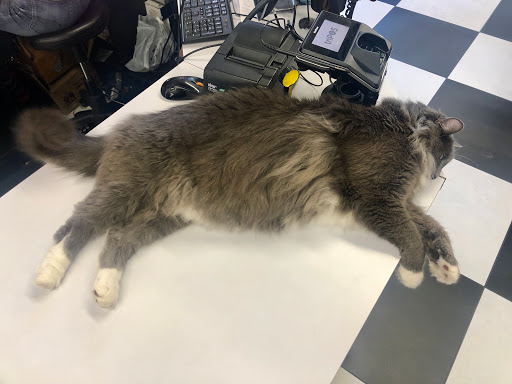 Pet Supply Store «Bark Avenue», reviews and photos, 3919 Park Dr, El Dorado Hills, CA 95762, USA