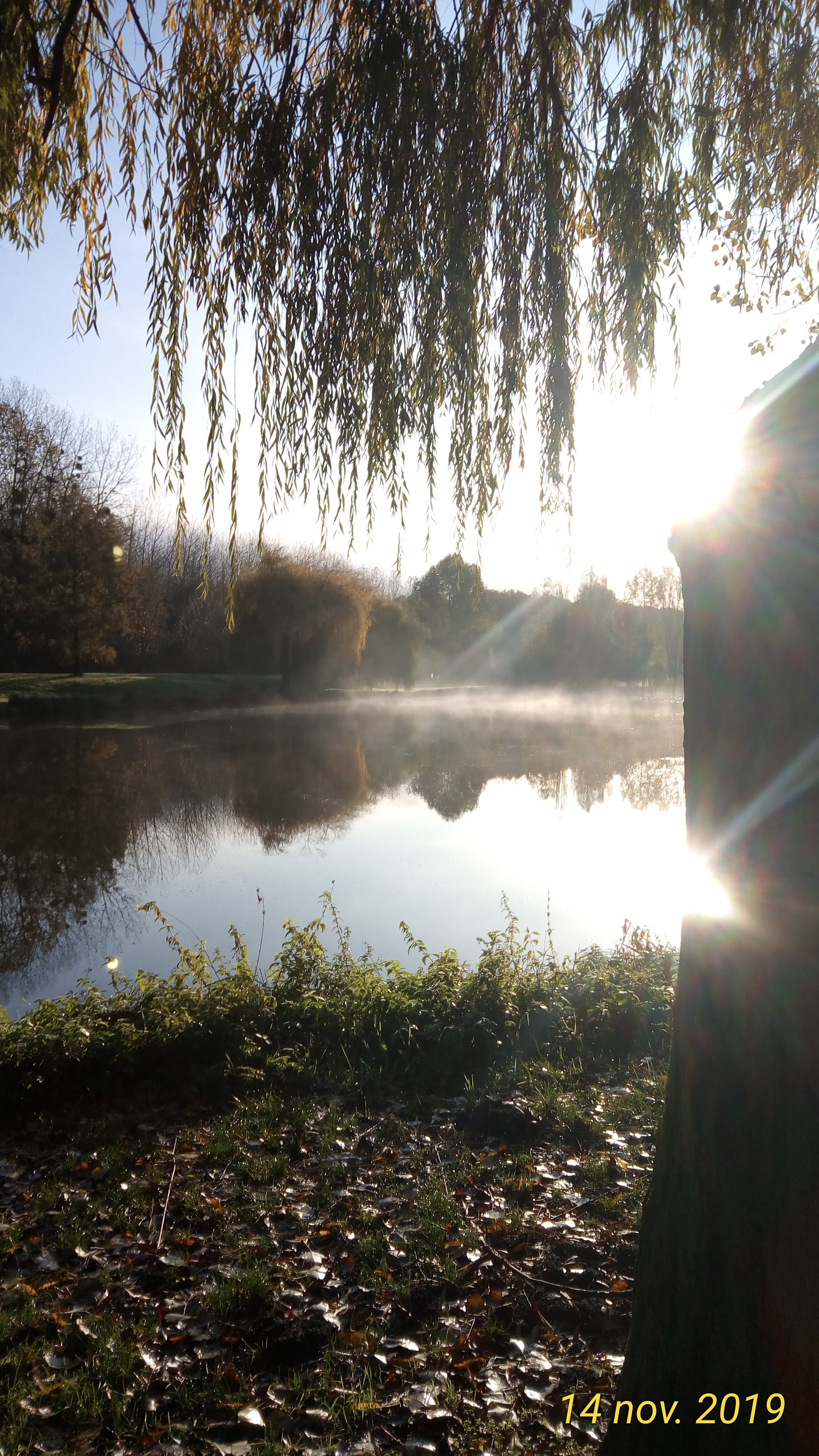 Photo n° 1 de l'avis de EdB. fait le 30/08/2019 à 06:21