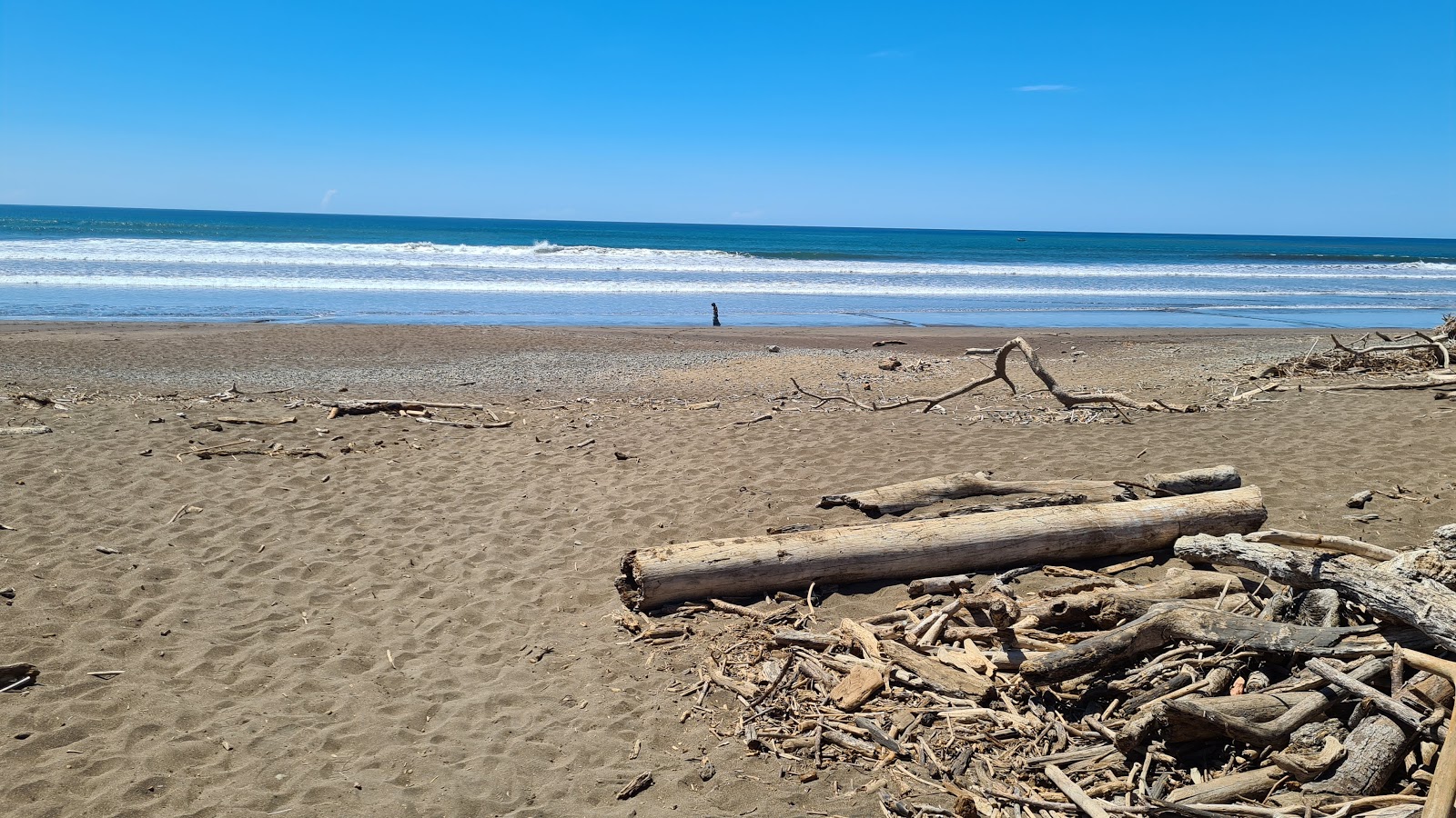 Foto de Camaronal Beach zona salvaje