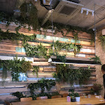 Photo n°2 de l'avis de Marcos.a fait le 19/01/2020 à 18:43 sur le  Fauna & Flora- Anjos à Lisbon