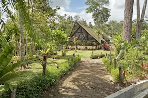 Balikpapan Botanical Garden image