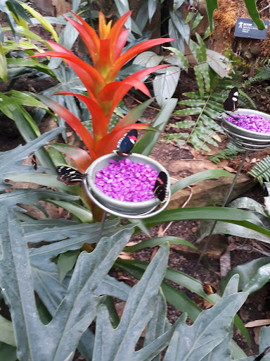 Gift Shop «Meijer Gardens Gift Shop», reviews and photos, 1000 E Beltline Ave NE, Grand Rapids, MI 49525, USA