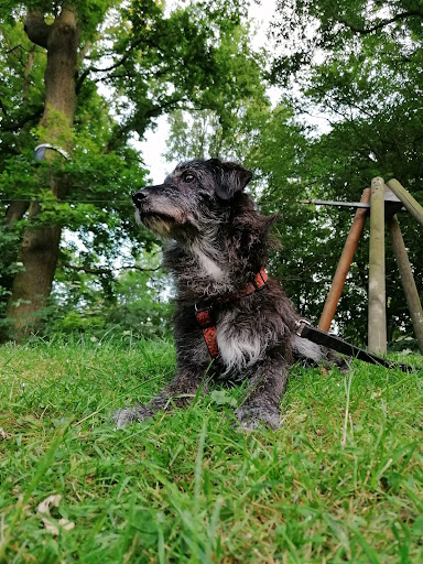 Tierklinik Mülheim unter Mülheim, Nordrhein-Westfalen