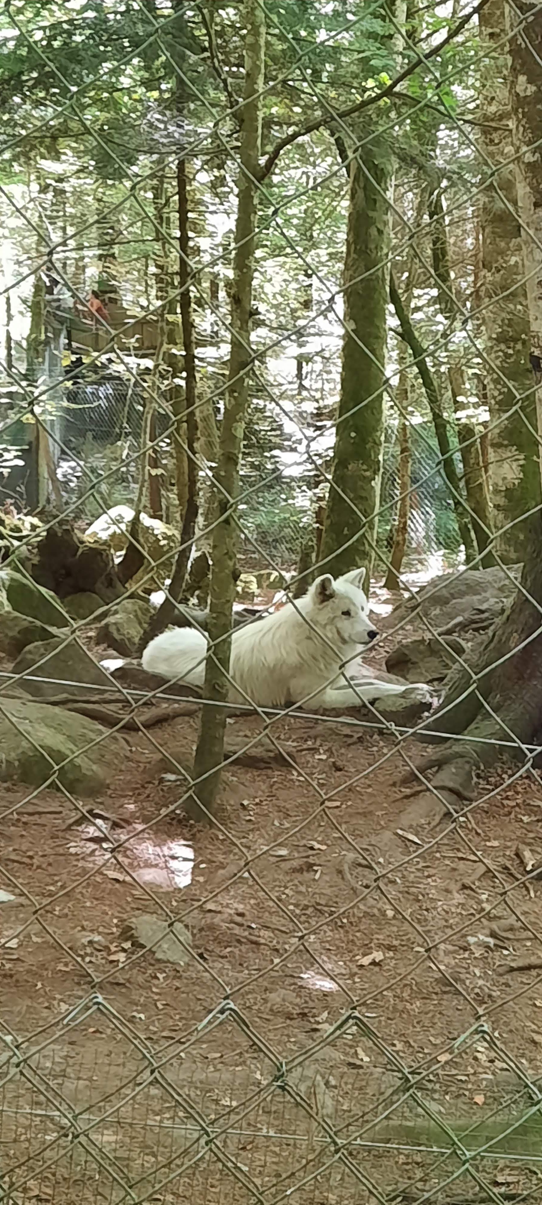 Photo n° 1 de l'avis de Patrice.e fait le 19/08/2020 à 16:26