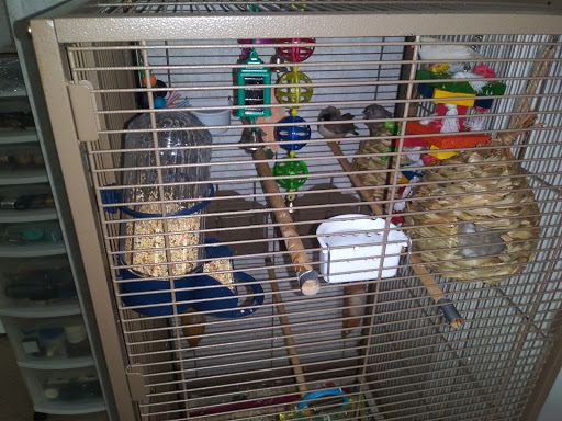 Pet Supply Store «Petco Animal Supplies», reviews and photos, 18578 Coastal Hwy #12, Rehoboth Beach, DE 19971, USA