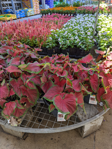 Home Improvement Store «The Home Depot», reviews and photos, 10151 Bloomingdale Ave, Riverview, FL 33569, USA