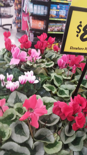 Grocery Store «Grocery Outlet Bargain Market», reviews and photos, 3308 NE 3rd Ave, Camas, WA 98607, USA