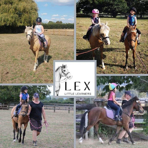 Lex Little Learners- Equestrian Rider Coaching - School