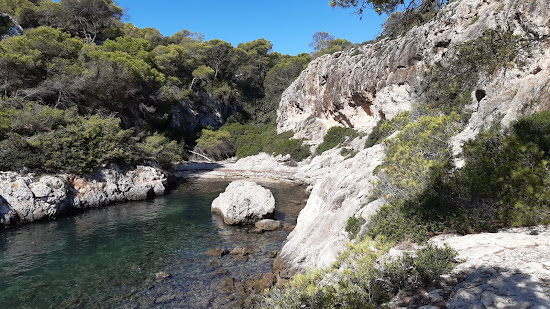 Platja de Cala Figuera