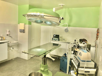 Clinique Vétérinaire Gbb à Gaillon