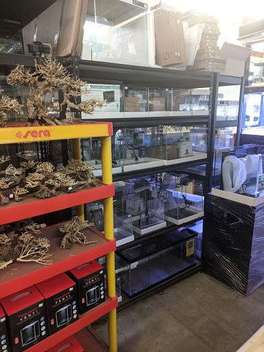 Tropical Fish Store «C K Fish World», reviews and photos, 410 N Azusa Ave, West Covina, CA 91791, USA